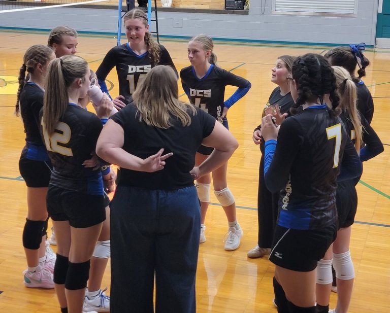 Decatur Christian volleyball players huddle with their coaches during a match